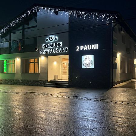 Pensiune Restaurant Pizzerie 2 Pauni Borşa 外观 照片